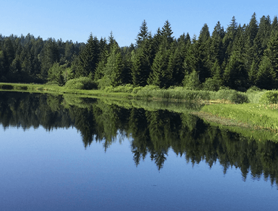 Lebensbegleitung / Coaching